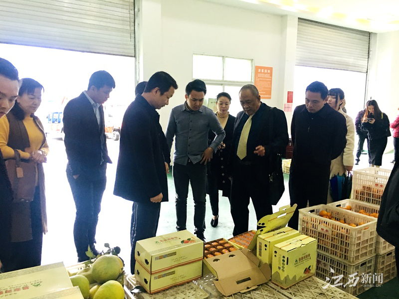 bti体育平台·(中国)官方网站