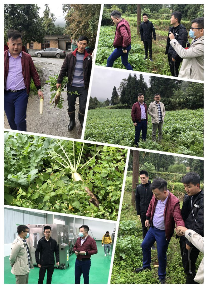 bti体育平台·(中国)官方网站