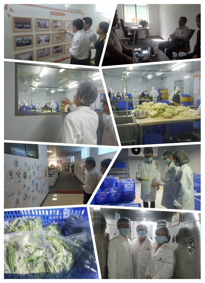 bti体育平台·(中国)官方网站