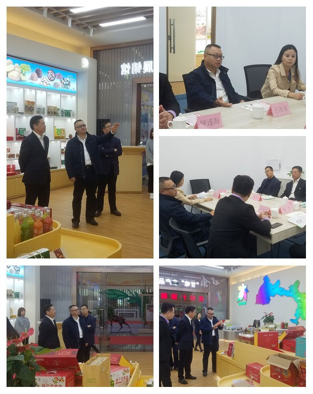 bti体育平台·(中国)官方网站