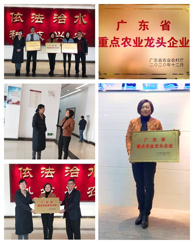 bti体育平台·(中国)官方网站