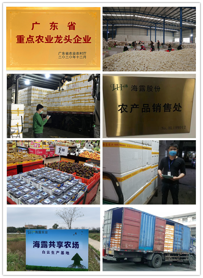 bti体育平台·(中国)官方网站