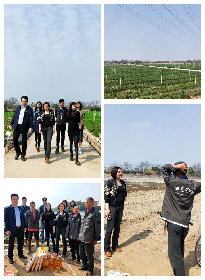 bti体育平台·(中国)官方网站