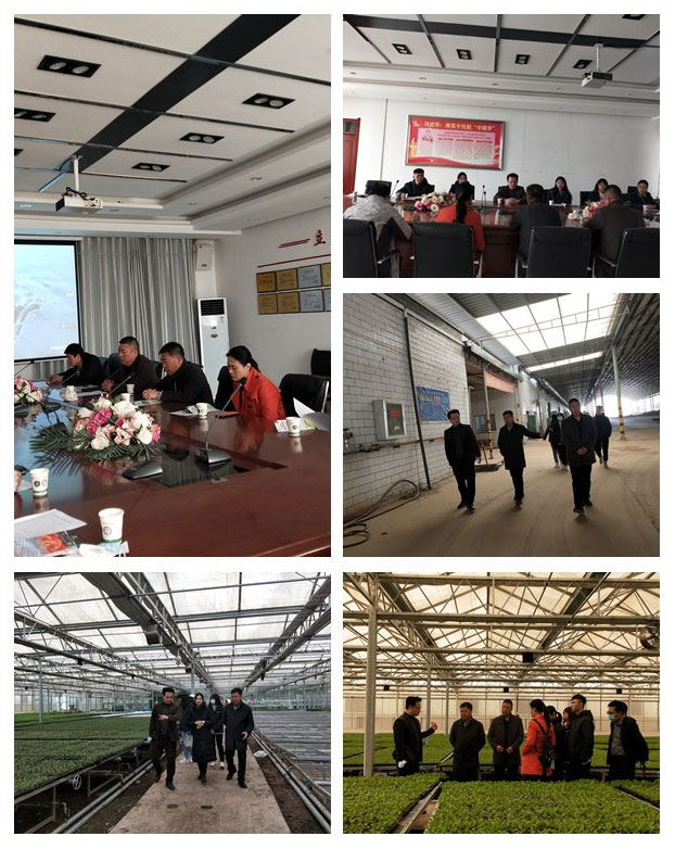 bti体育平台·(中国)官方网站