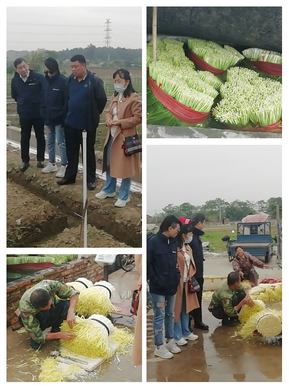 bti体育平台·(中国)官方网站