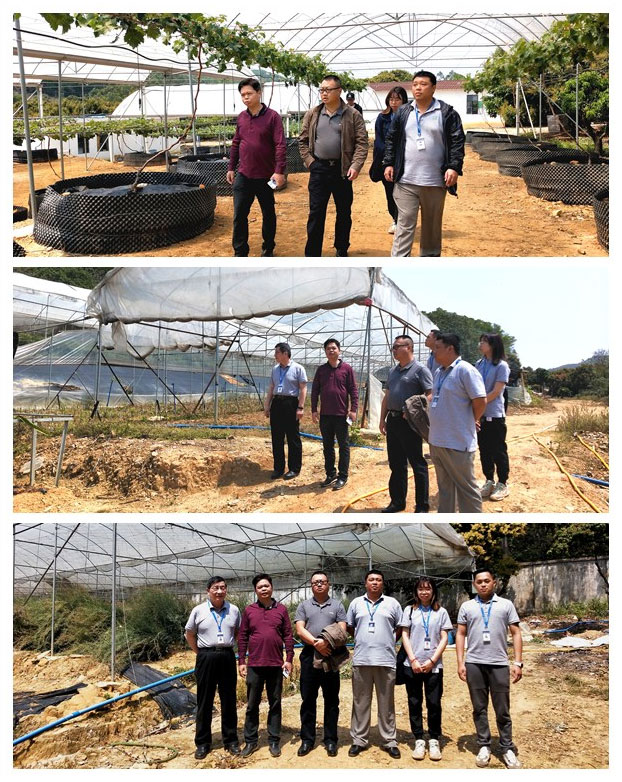 bti体育平台·(中国)官方网站