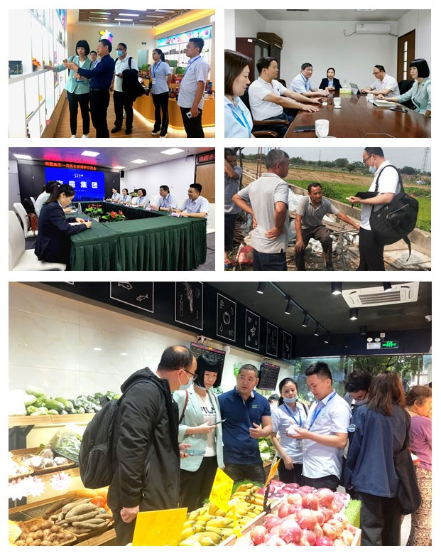 bti体育平台·(中国)官方网站