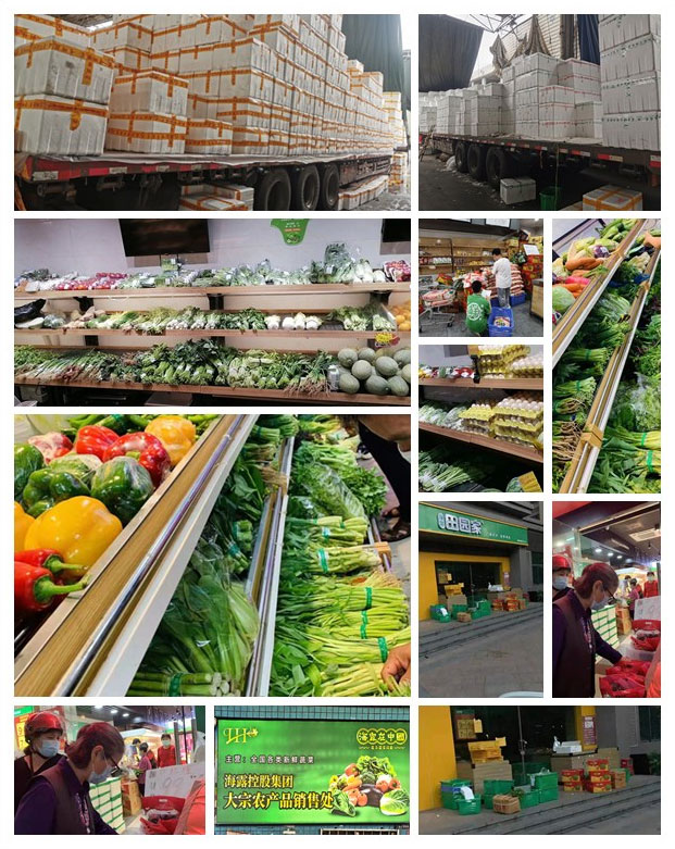 bti体育平台·(中国)官方网站