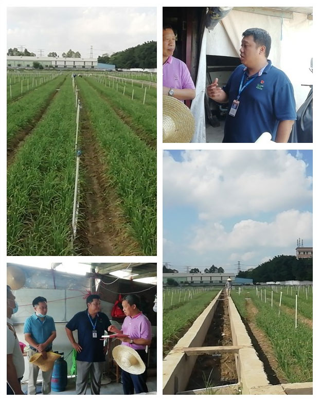 bti体育平台·(中国)官方网站