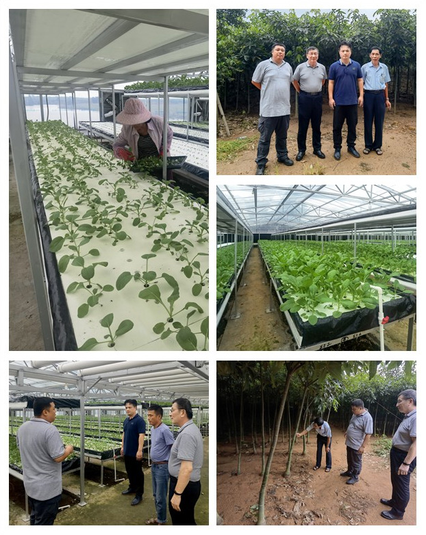 bti体育平台·(中国)官方网站