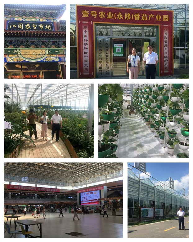 bti体育平台·(中国)官方网站