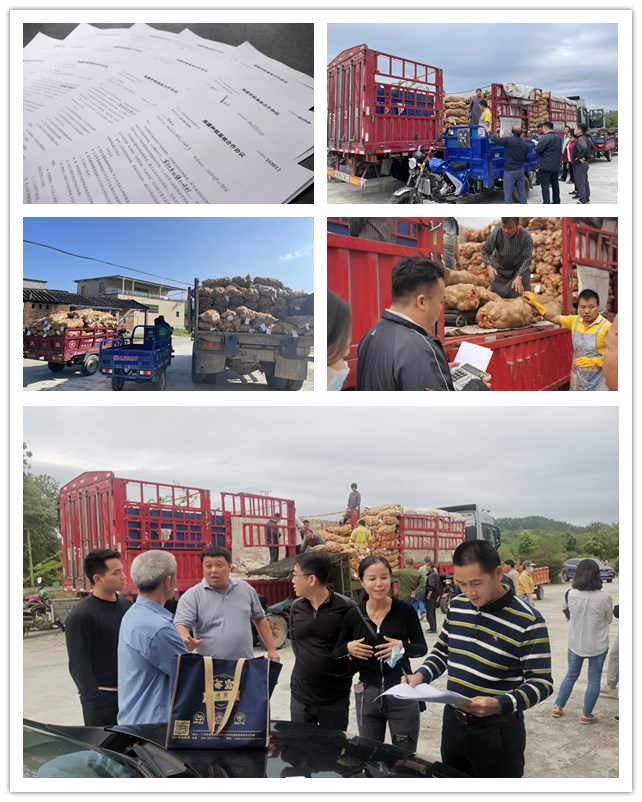 bti体育平台·(中国)官方网站