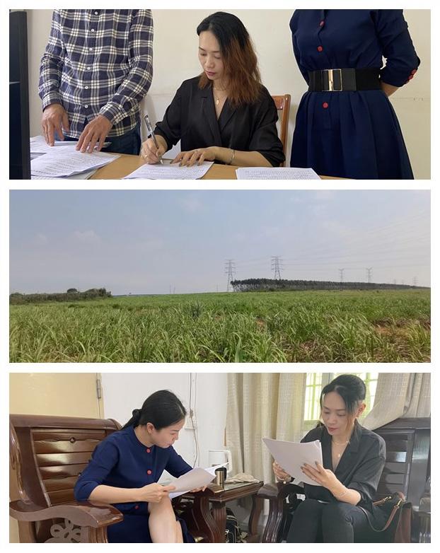 bti体育平台·(中国)官方网站