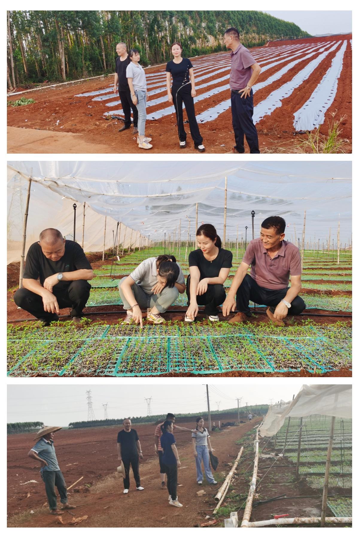 bti体育平台·(中国)官方网站