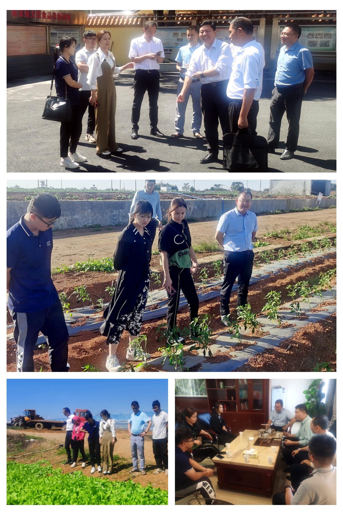 bti体育平台·(中国)官方网站