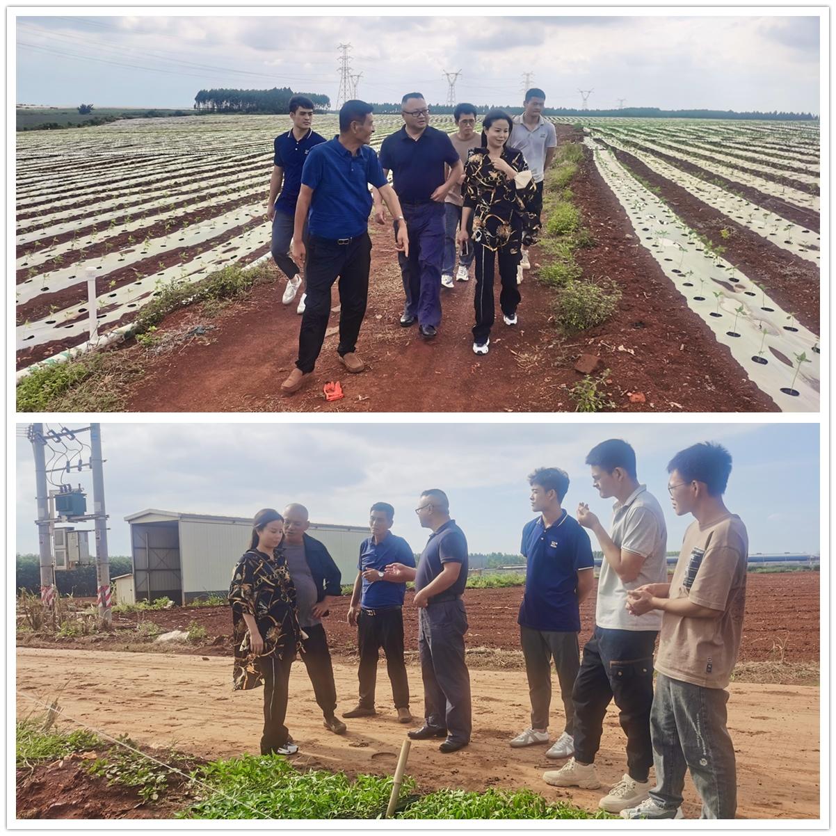 bti体育平台·(中国)官方网站