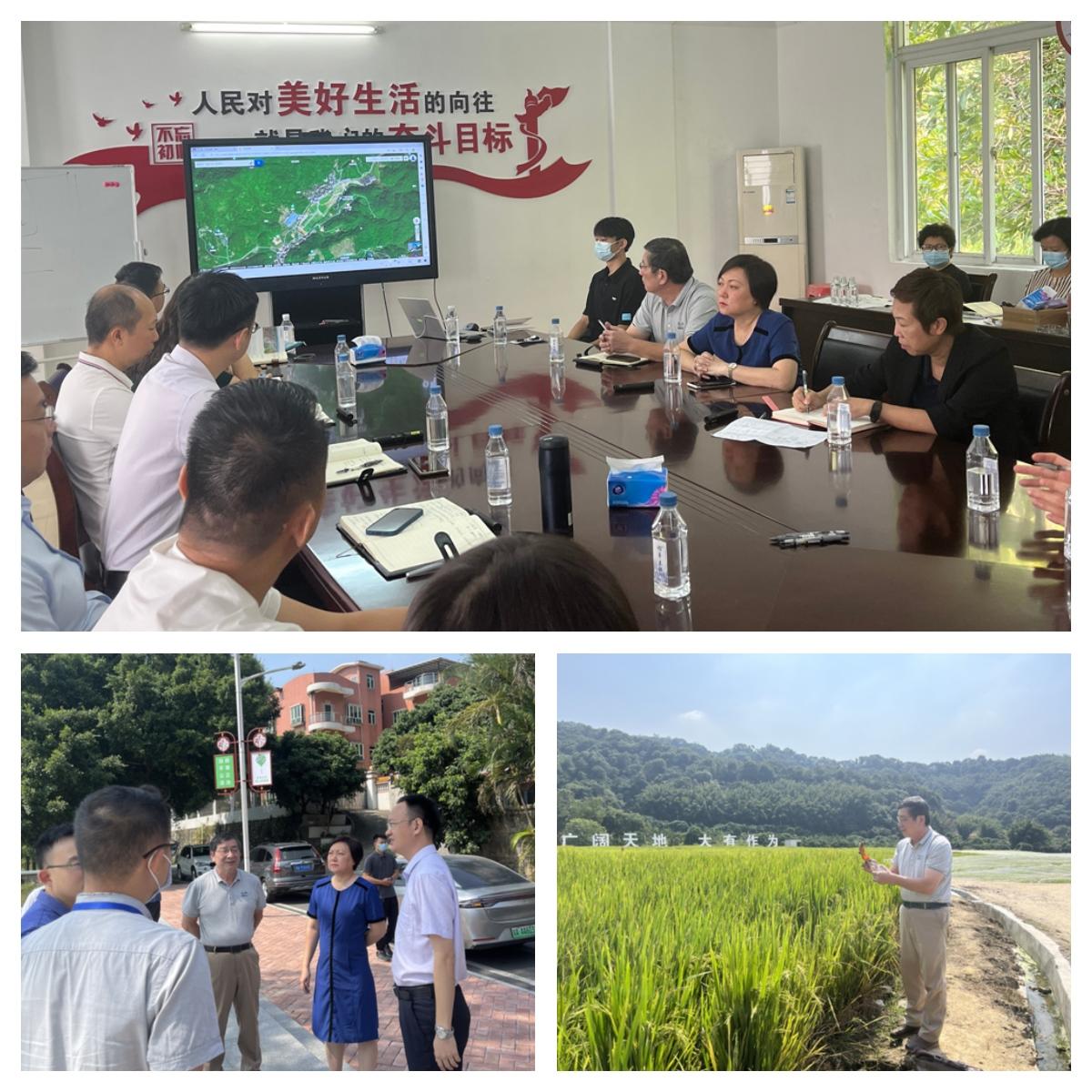 bti体育平台·(中国)官方网站