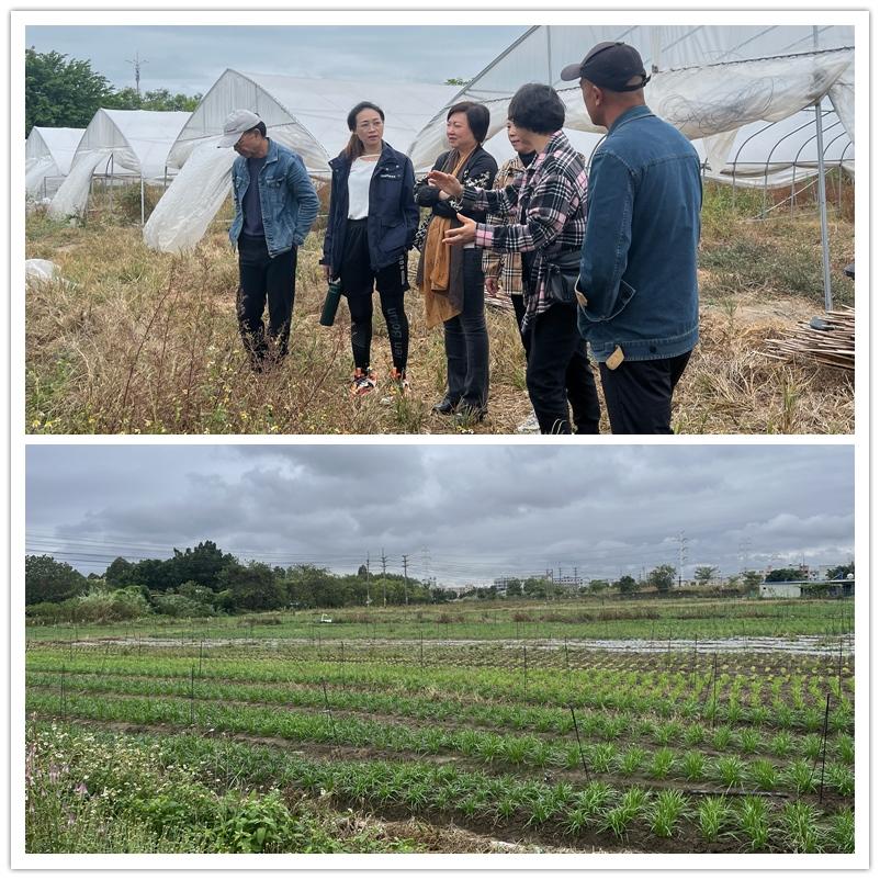 bti体育平台·(中国)官方网站