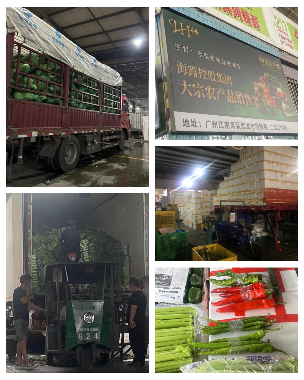 bti体育平台·(中国)官方网站