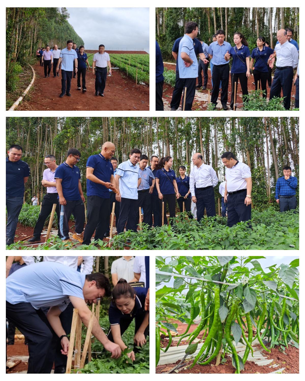bti体育平台·(中国)官方网站