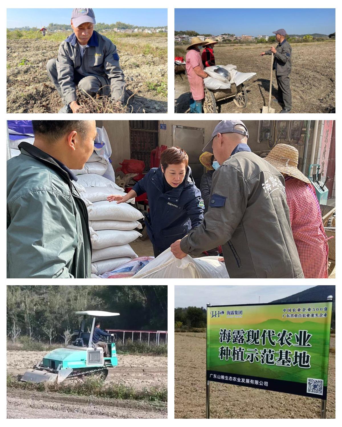 bti体育平台·(中国)官方网站