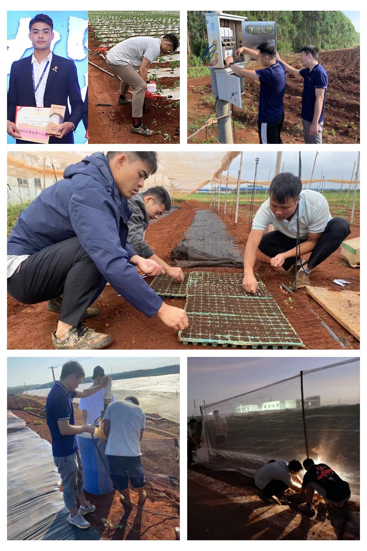 bti体育平台·(中国)官方网站