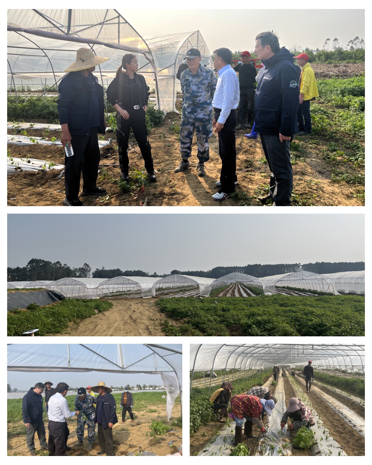 bti体育平台·(中国)官方网站