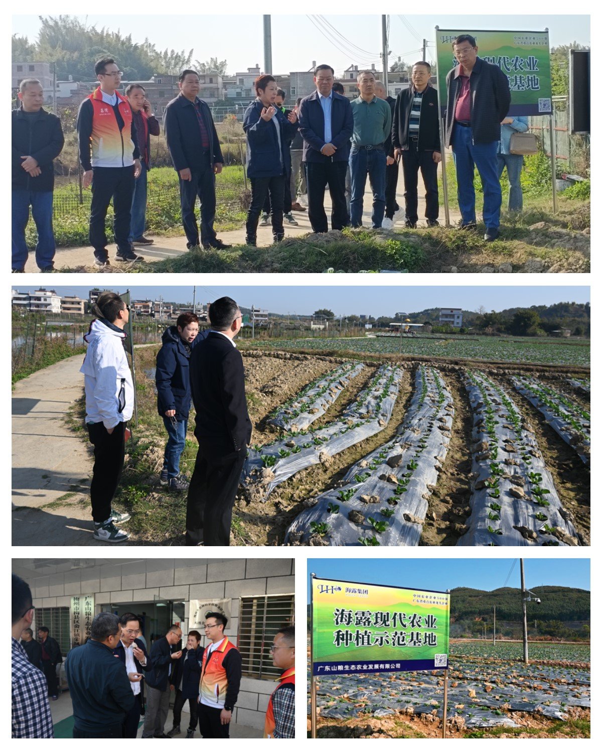 bti体育平台·(中国)官方网站