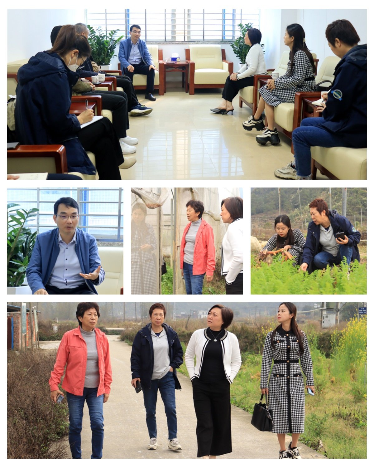 bti体育平台·(中国)官方网站