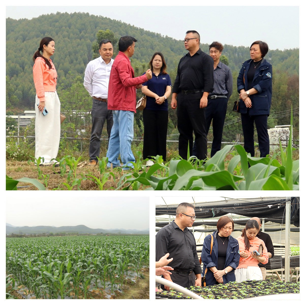 bti体育平台·(中国)官方网站