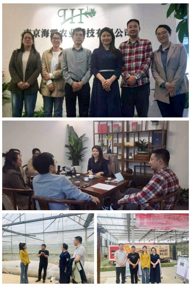 bti体育平台·(中国)官方网站