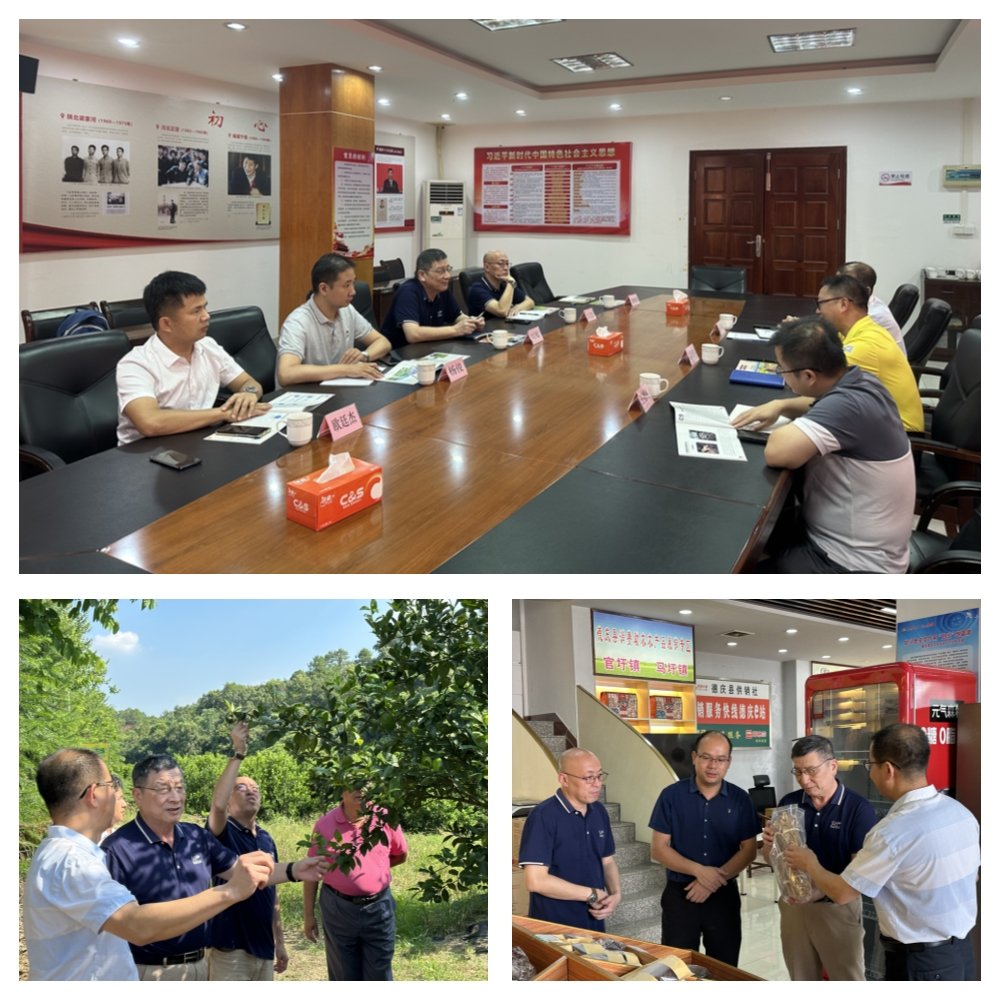 bti体育平台·(中国)官方网站