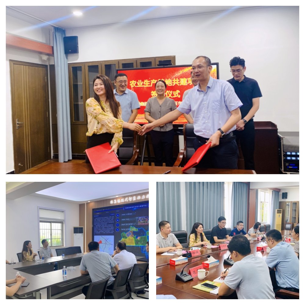 bti体育平台·(中国)官方网站