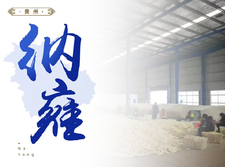 bti体育平台·(中国)官方网站