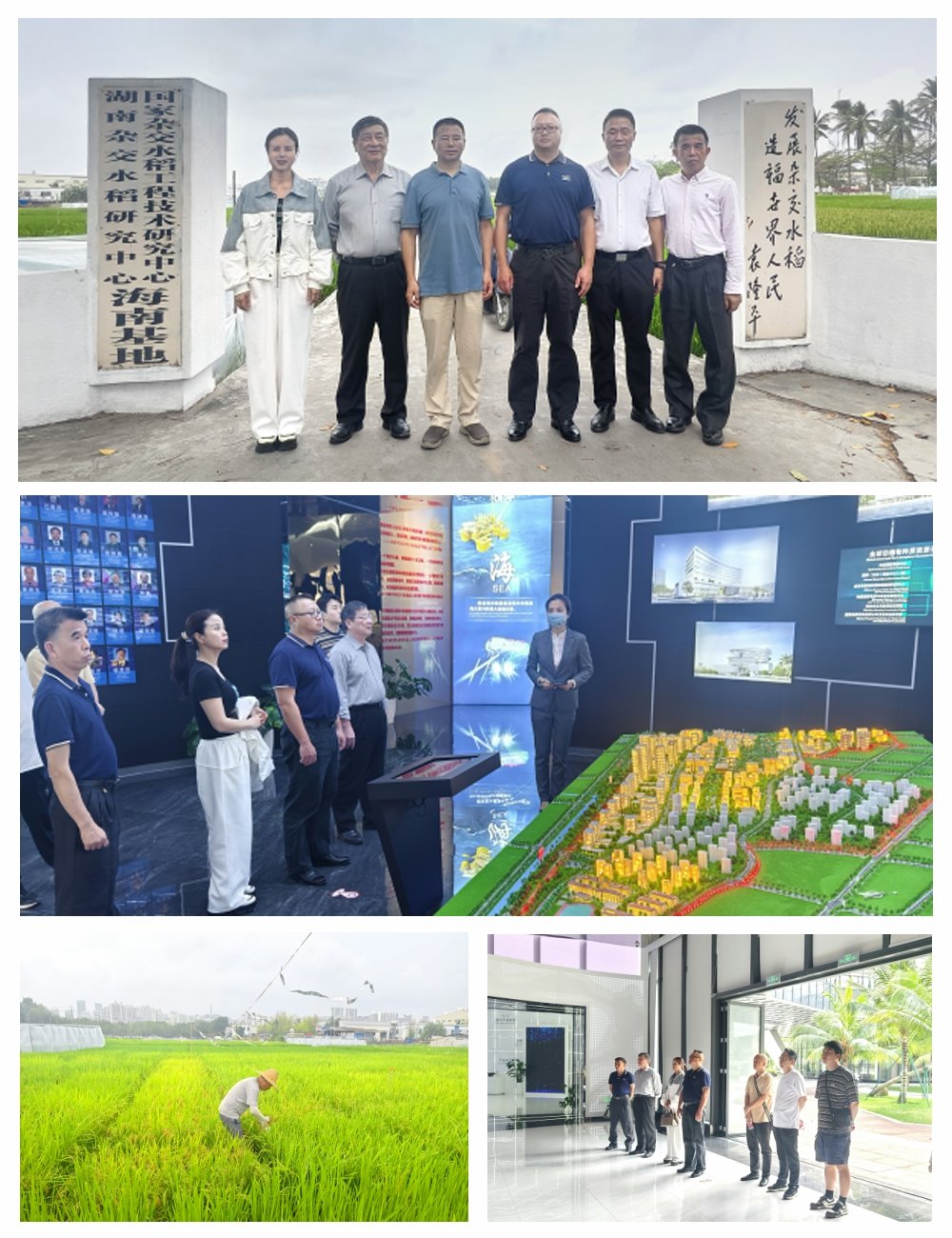 bti体育平台·(中国)官方网站