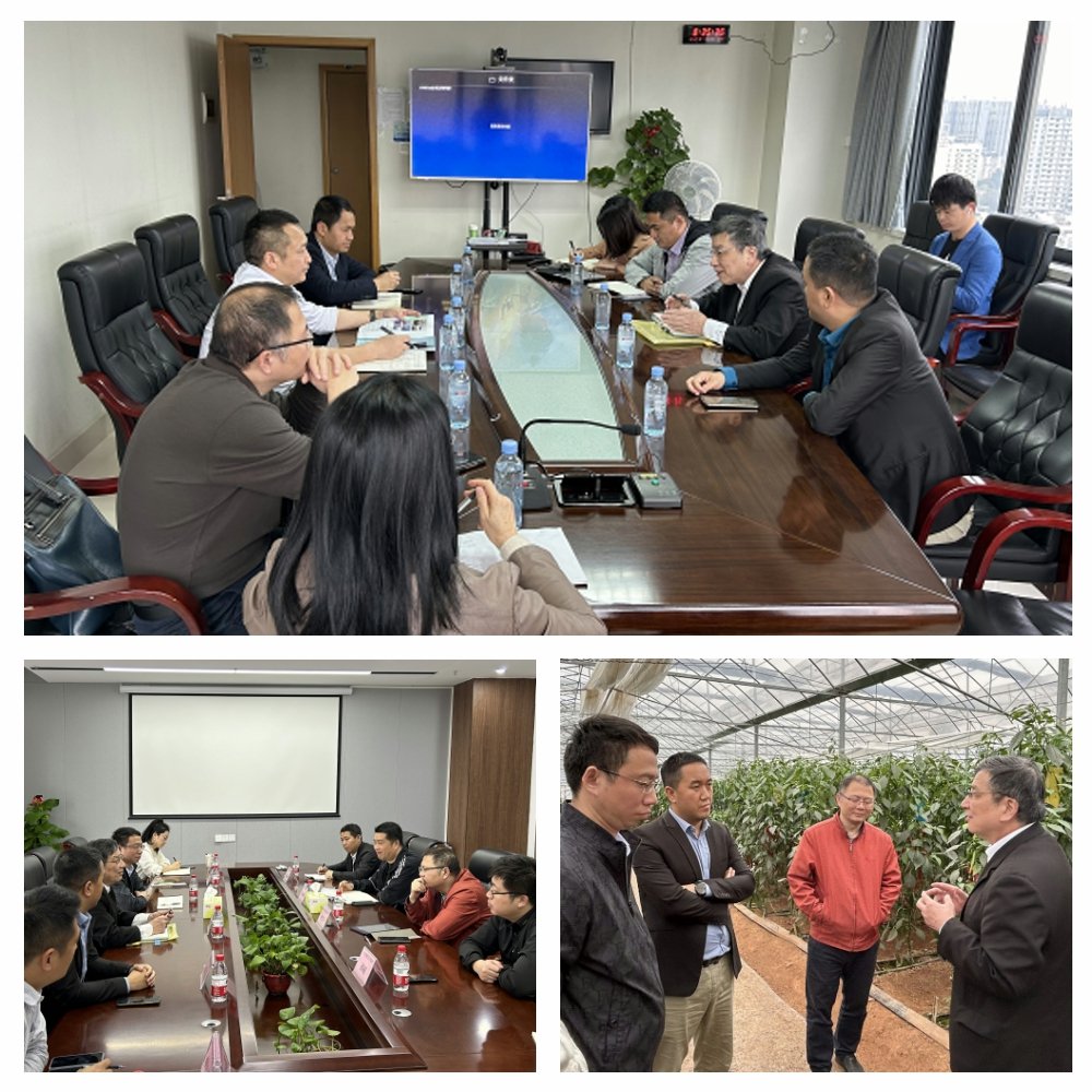 bti体育平台·(中国)官方网站