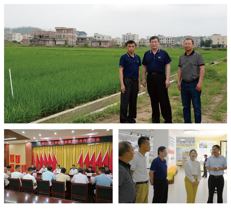 bti体育平台·(中国)官方网站