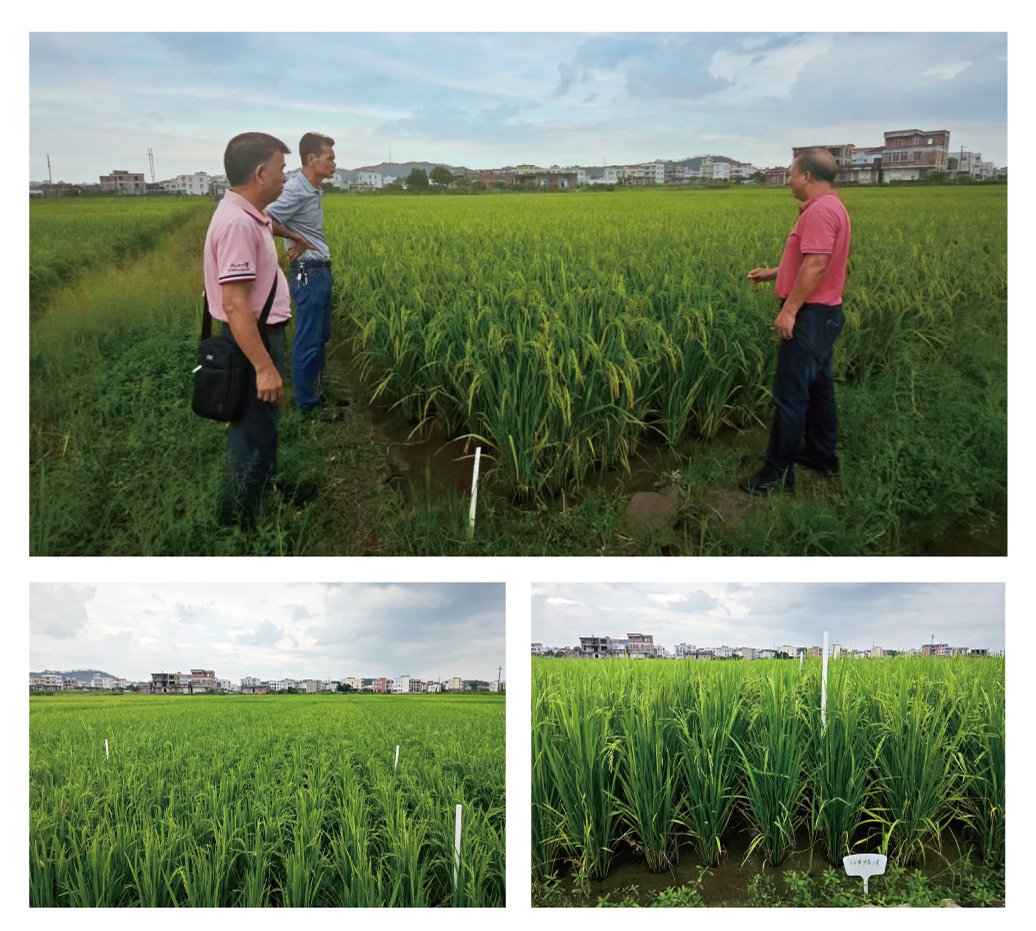 bti体育平台·(中国)官方网站