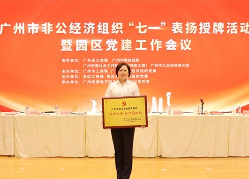 标杆引领，荣誉升级！集团党支部荣膺广州市非公有造经济组织“双强六好”标