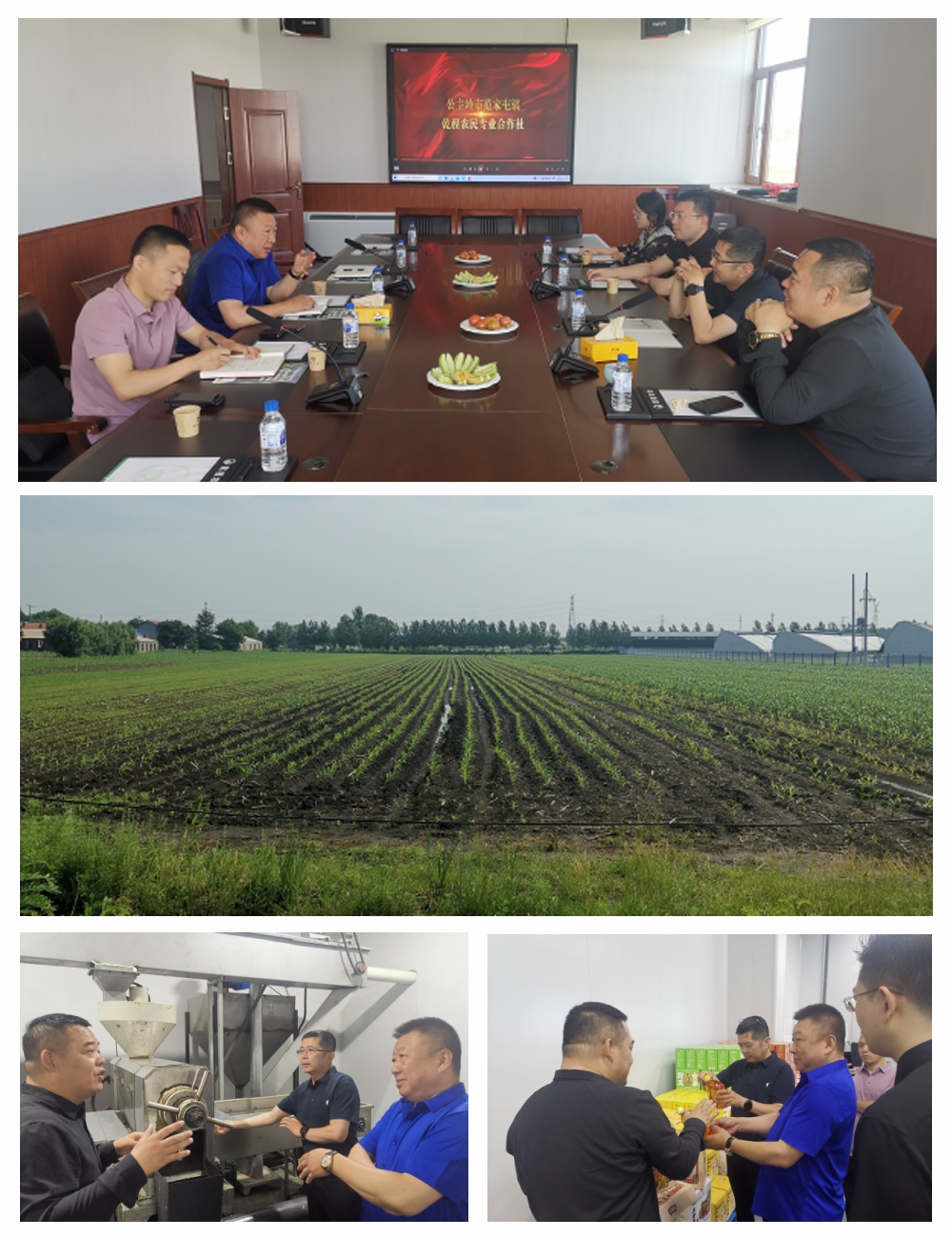 bti体育平台·(中国)官方网站