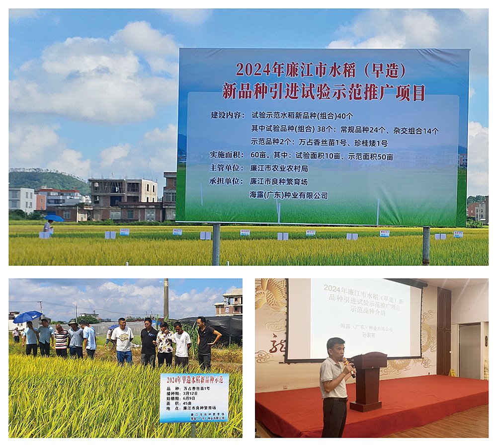 bti体育平台·(中国)官方网站