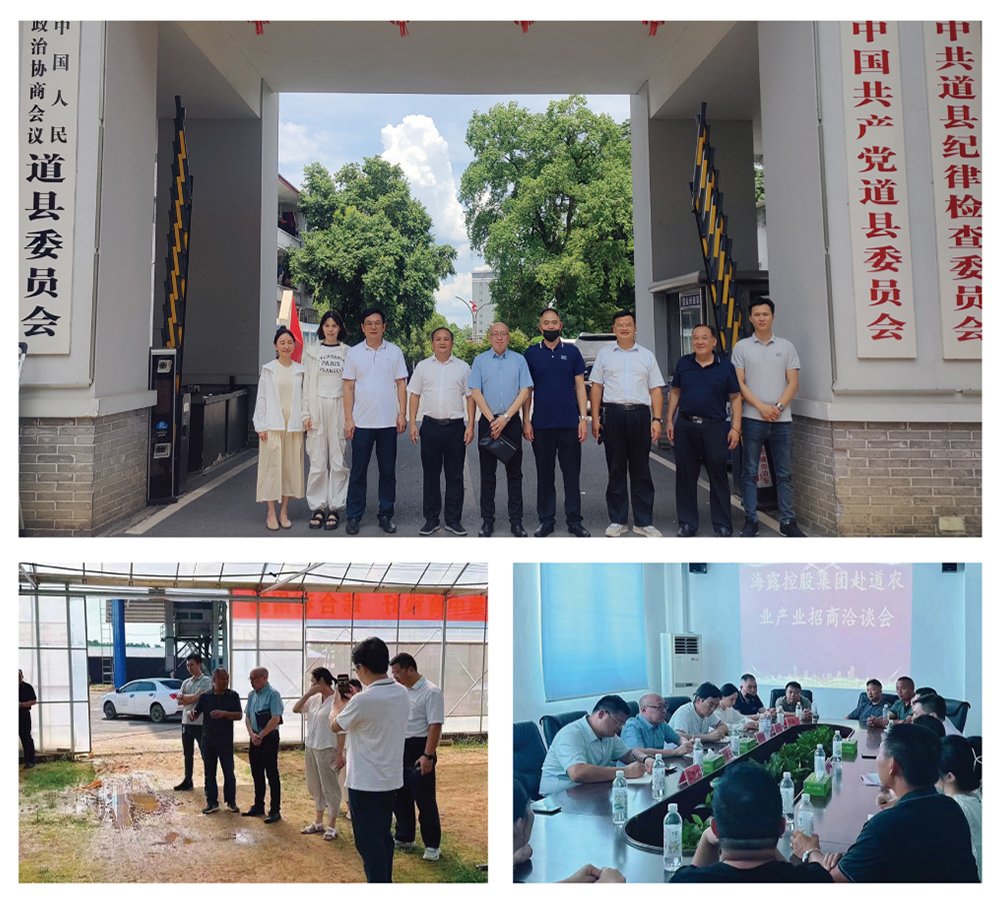 bti体育平台·(中国)官方网站