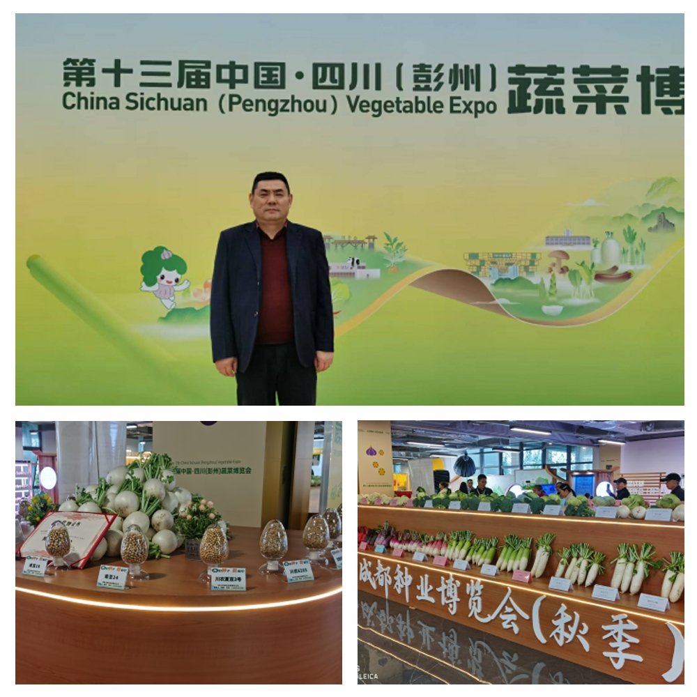 bti体育平台·(中国)官方网站