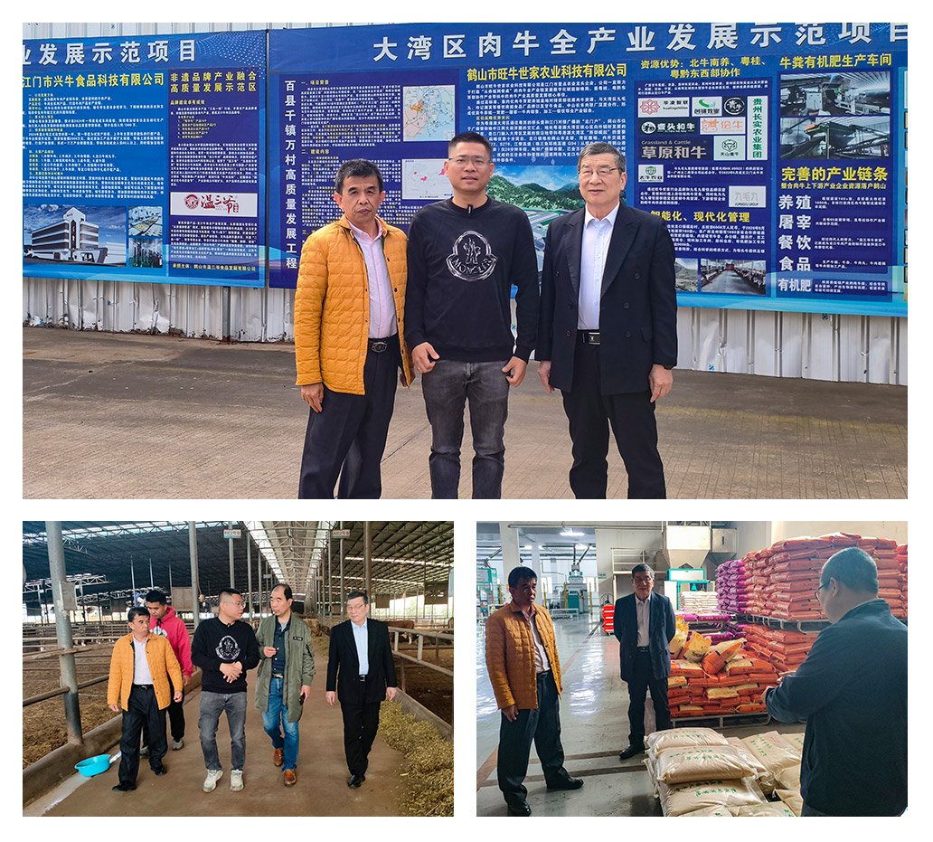 bti体育平台·(中国)官方网站