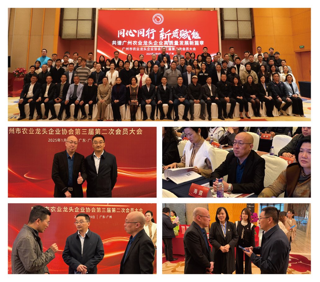 bti体育平台·(中国)官方网站