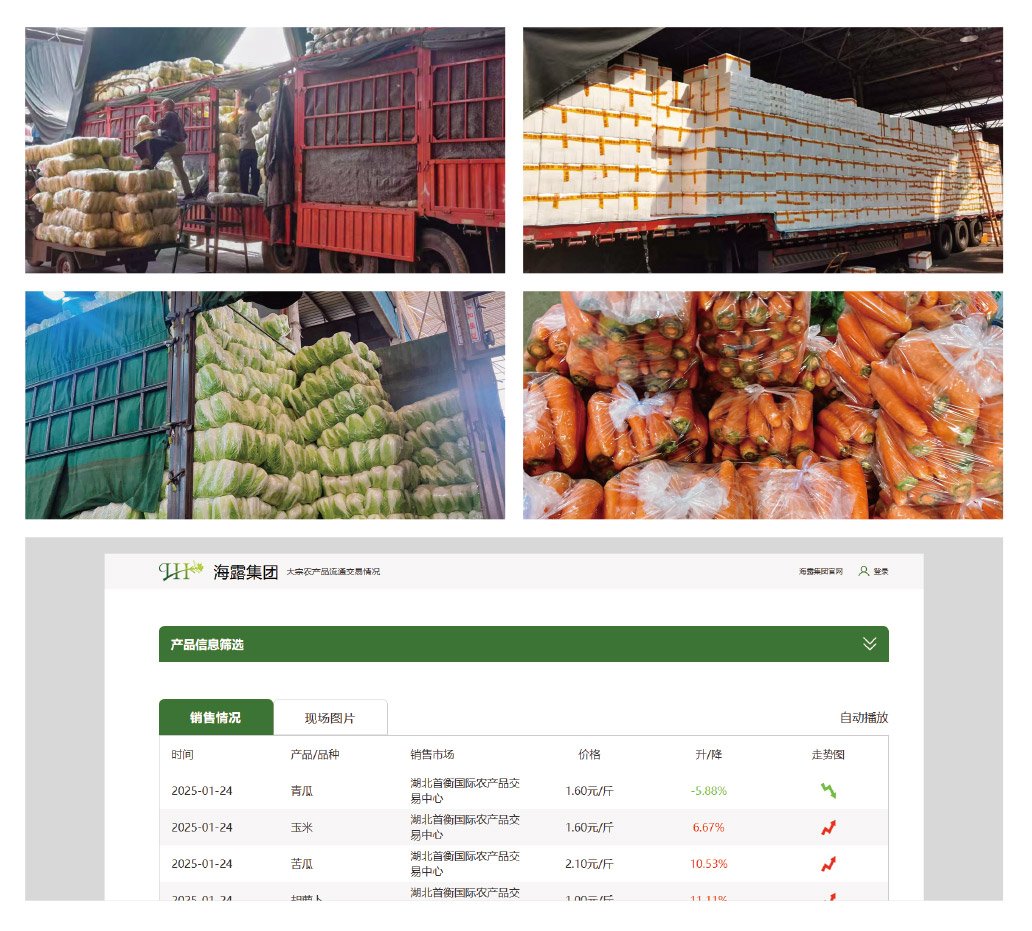 bti体育平台·(中国)官方网站