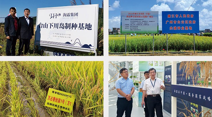 bti体育平台·(中国)官方网站