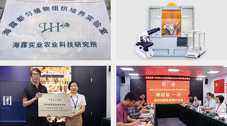 bti体育平台·(中国)官方网站