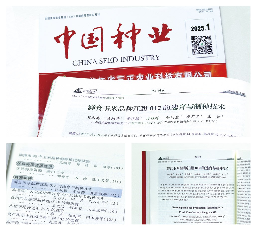 bti体育平台·(中国)官方网站