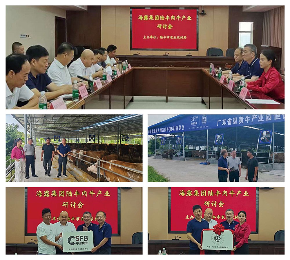 bti体育平台·(中国)官方网站